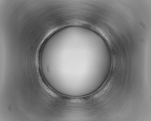 X0000115490843200911201555