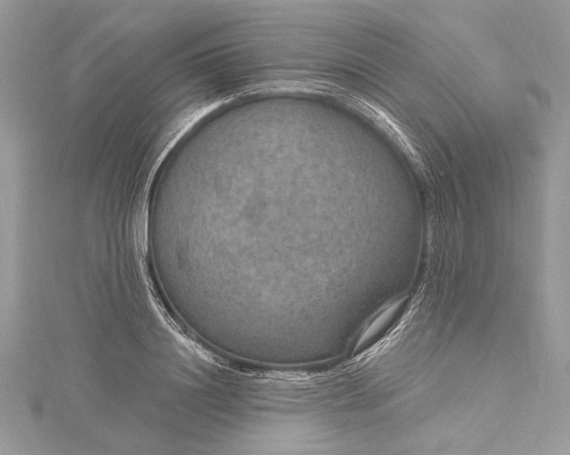 X0000115490844200911201555