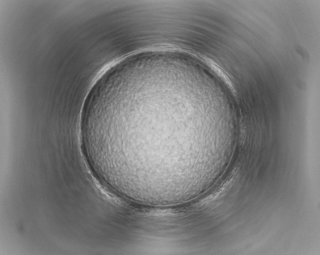 X0000115490845200911201555