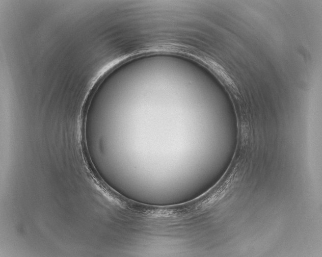 X0000115490846200911201555