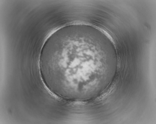 X0000115490847200911201555