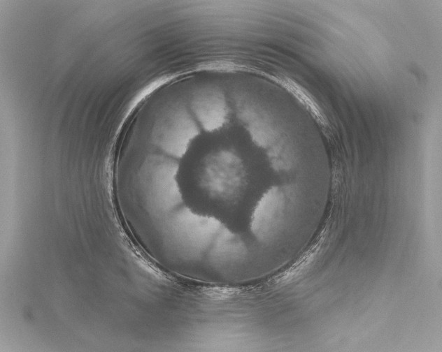X0000115490854200911201555