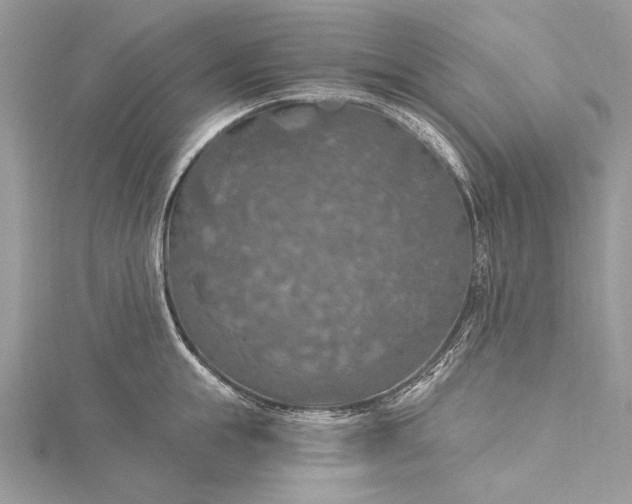 X0000115490855200911201555