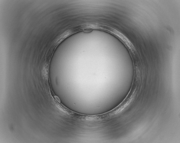 X0000115490857200911201555