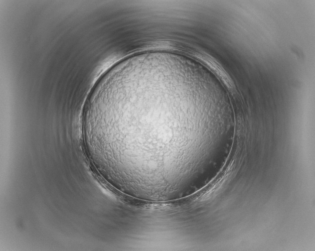 X0000115490858200911201555
