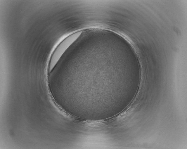 X0000115490864200911201555