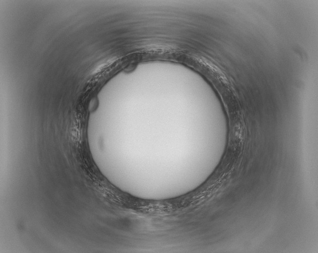 X0000115490869200911201555