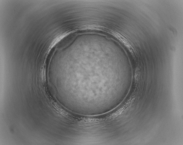 X0000115490877200911201554