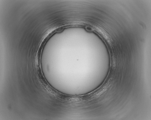 X0000115490883200911201554