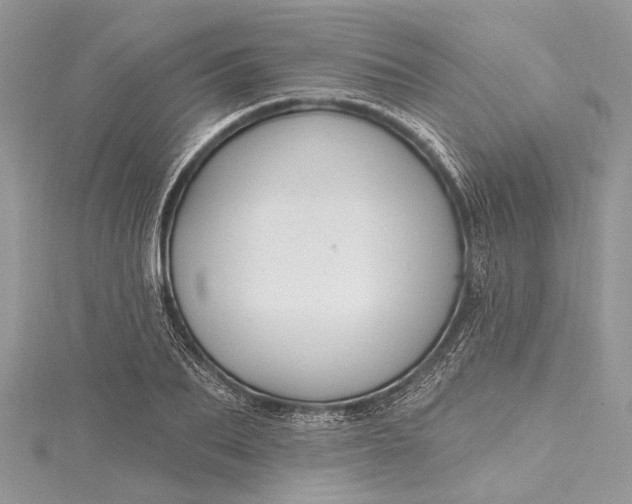 X0000115490887200911201554