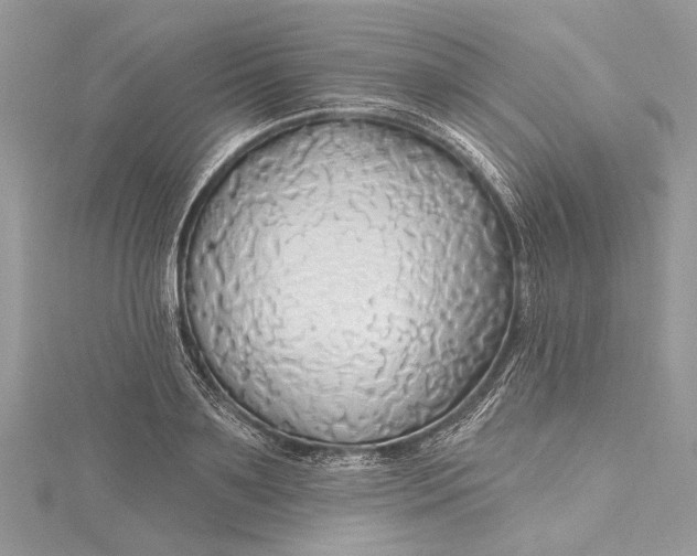 X0000115490891200911201554