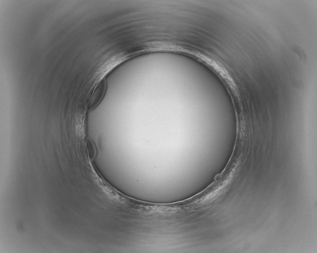 X0000115490905200911201554