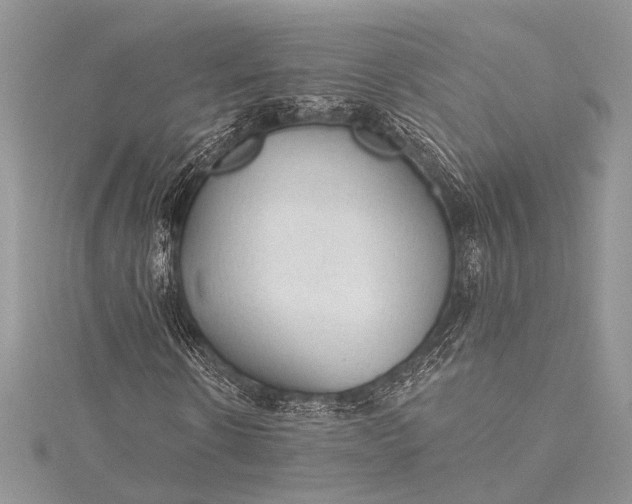 X0000115490914200911201553