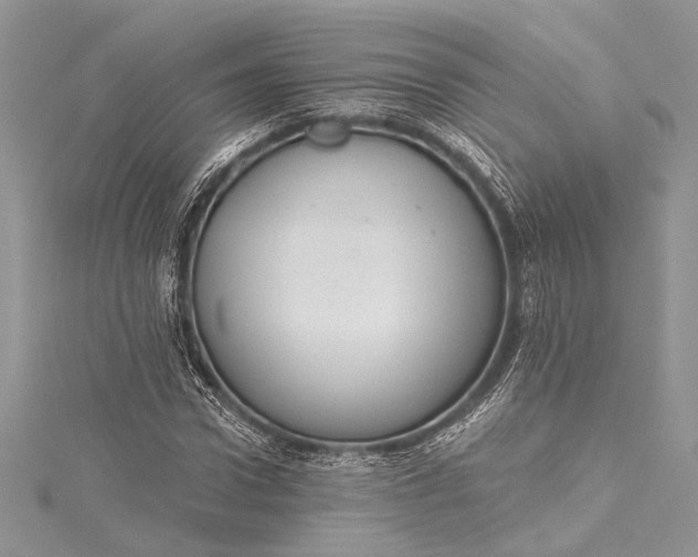 X0000115490922200911201553