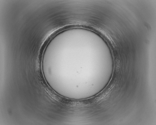 X0000115490927200911201553