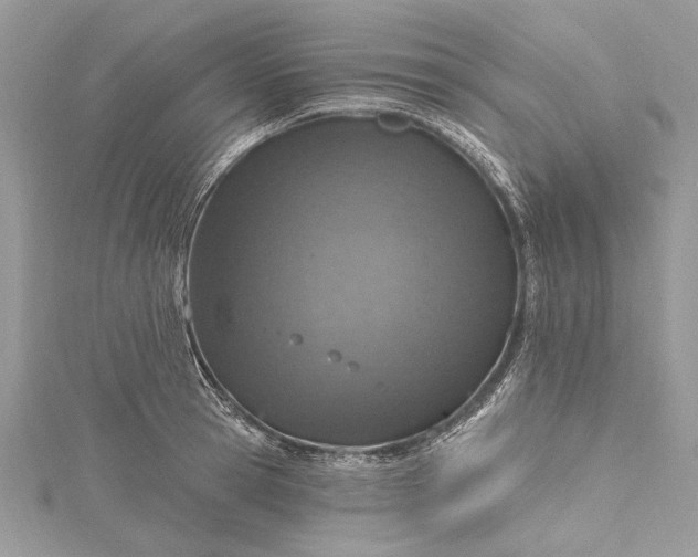 X0000115490945200911201554