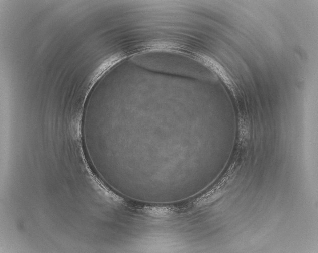 X0000115490946200911201554