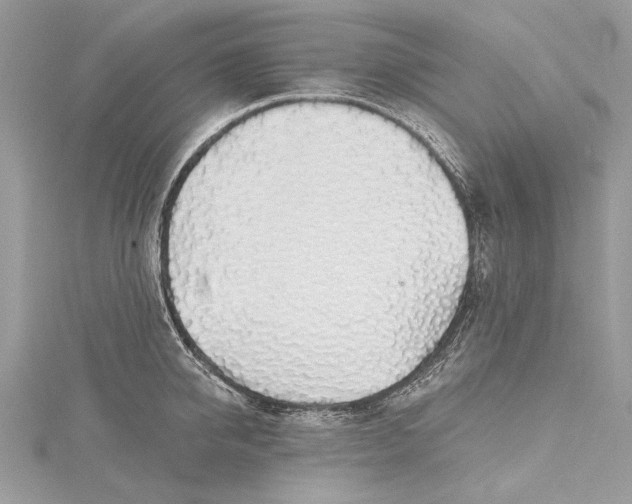 X0000115490950200911201554