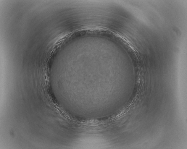 X0000115490966200911201553