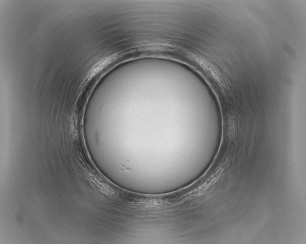 X0000115490970200911201553