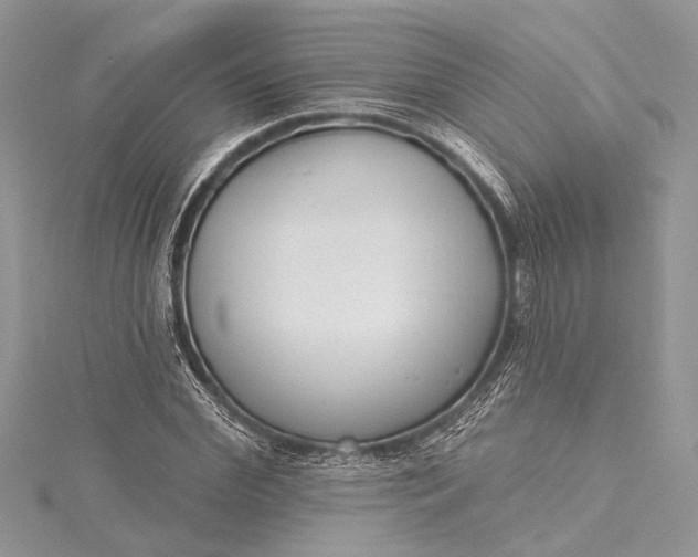 X0000115490972200911201553
