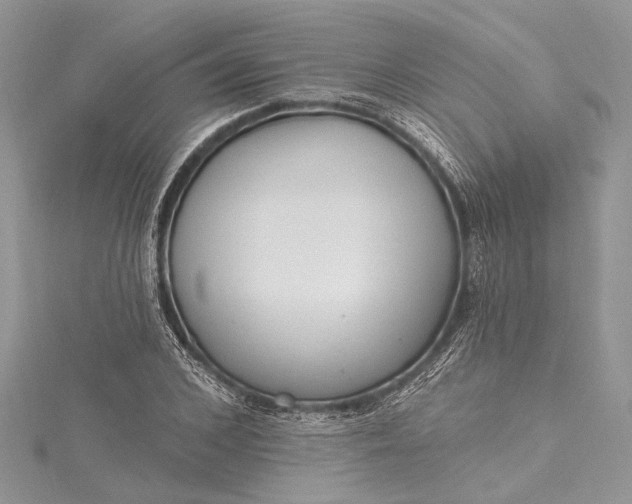 X0000115490976200911201553