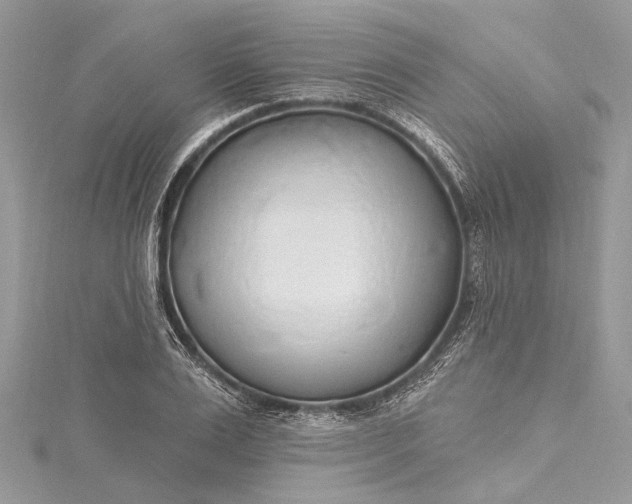 X0000115490983200911201553