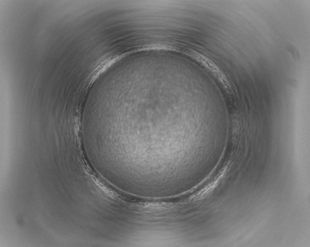 X0000115490985200911201553