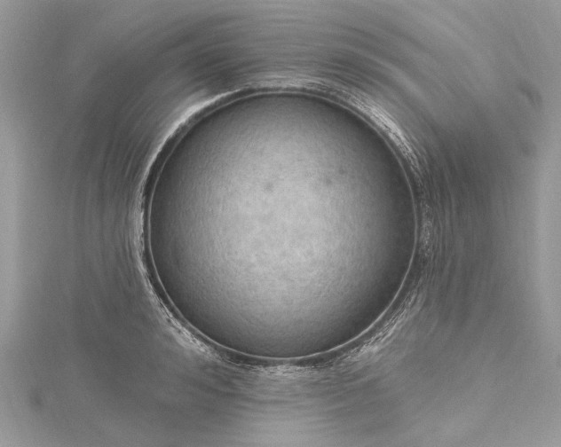 X0000115490992200911201552