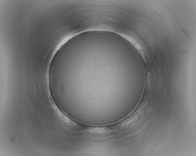 X0000115490998200911201552
