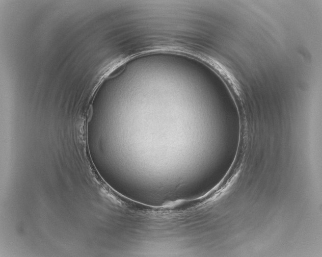 X0000115491001200911201552