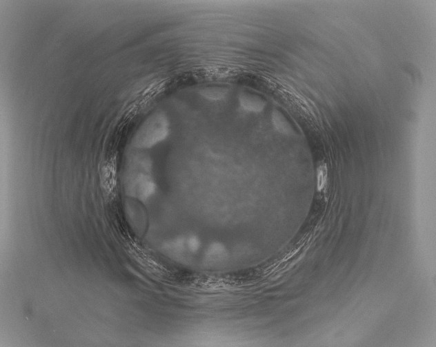 X0000115491011200911201552
