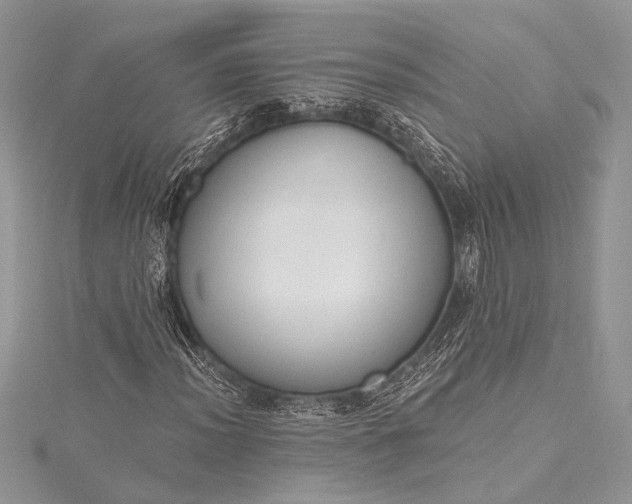 X0000115491012200911201552