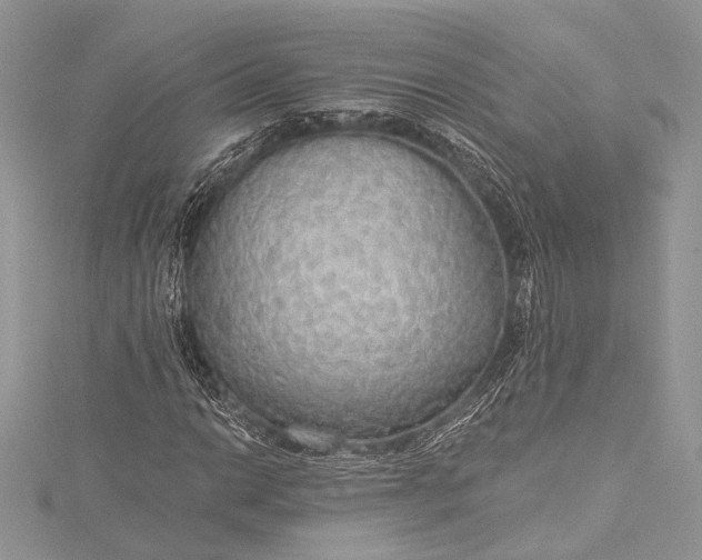 X0000115491014200911201552