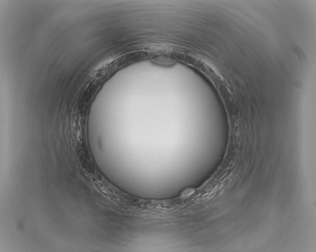 X0000115491016200911201552