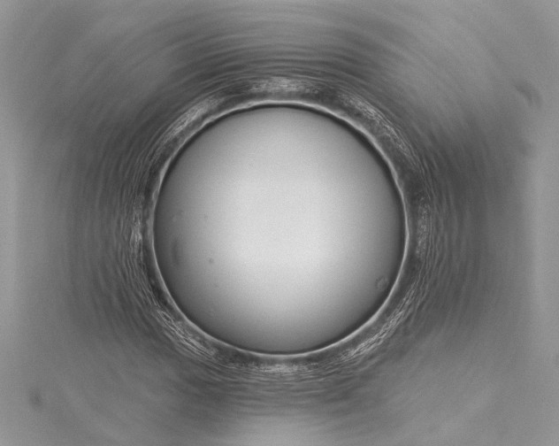 X0000115491017200911201552