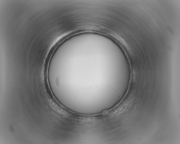 X0000115491020200911201552