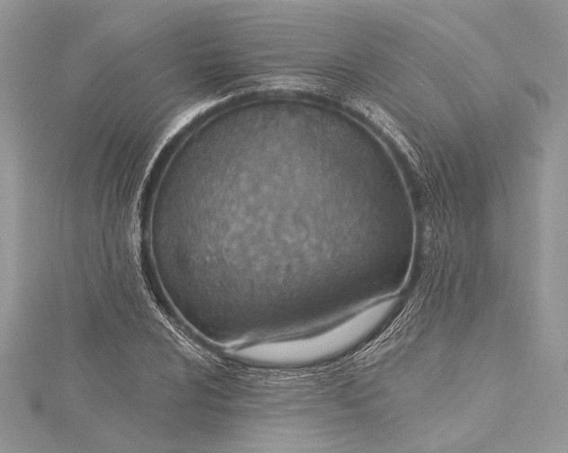 X0000115491024200911201552