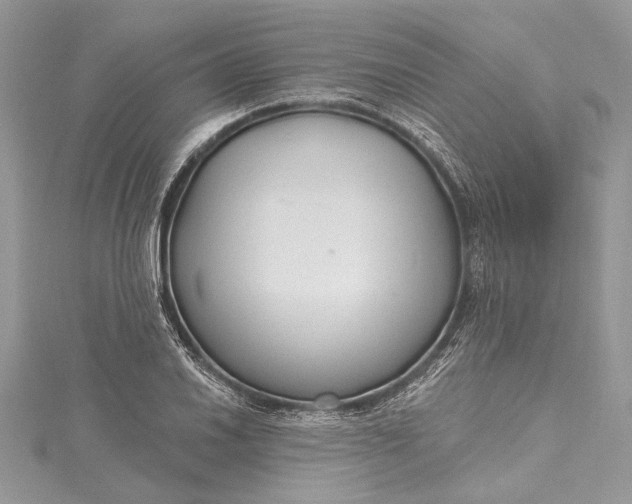 X0000115491030200911201552