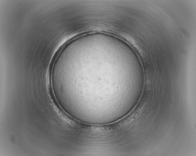 X0000115491032200911201552