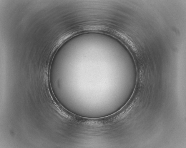 X0000115491033200911201552
