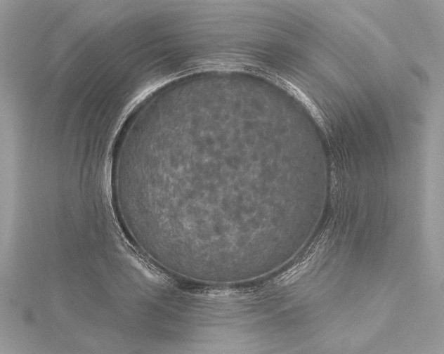 X0000115491035200911201552