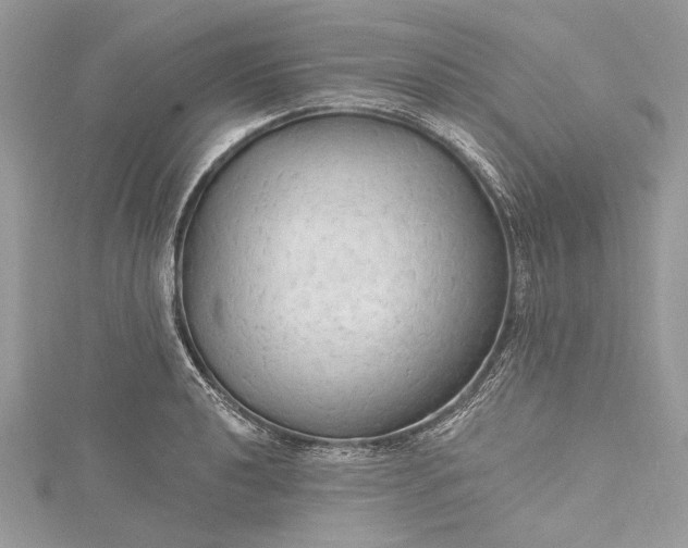 X0000115491040200911201552