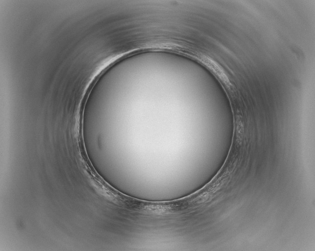 X0000115491044200911201552