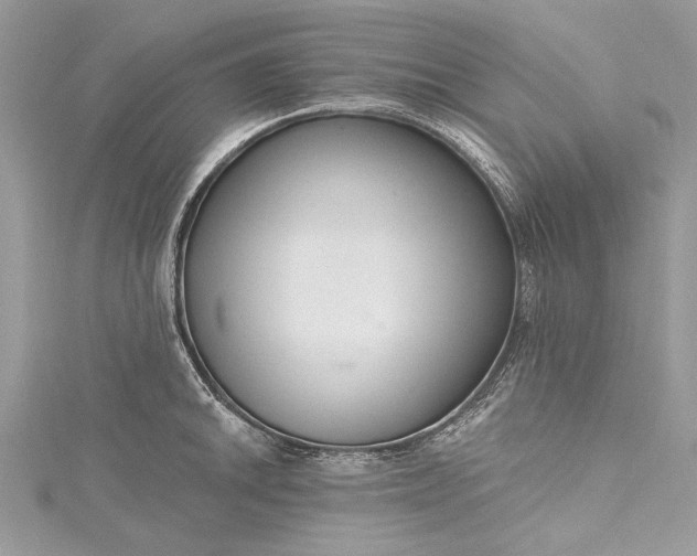X0000115491046200911201552