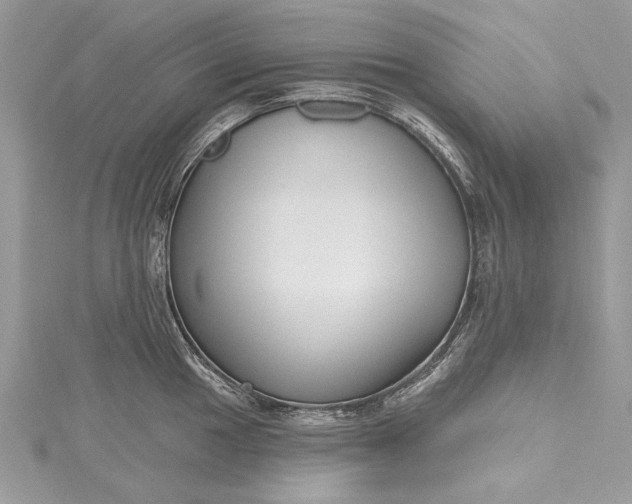 X0000115491049200911201552