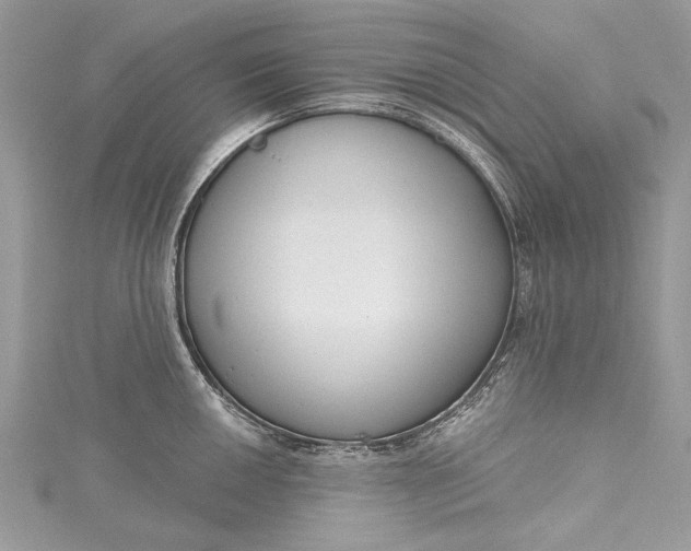 X0000115491050200911201552