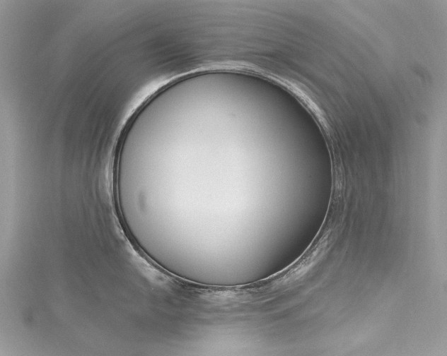 X0000115491054200911201552