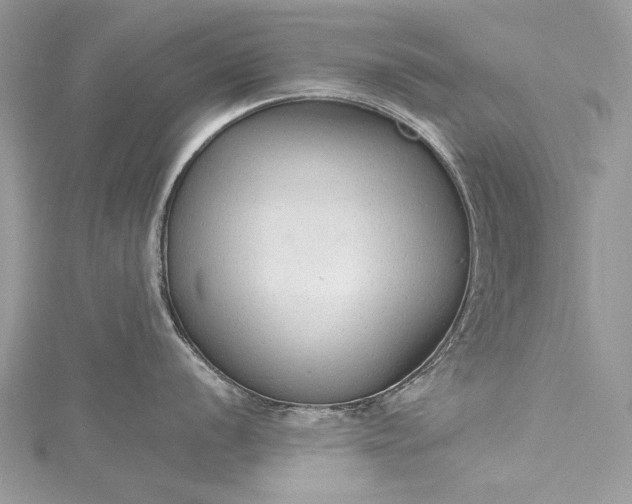 X0000115491056200911201552