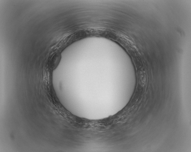 X0000115491061200911201552